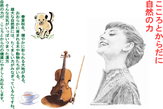 ���B�������